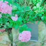 枕在石上的手札本，藏在詩中的少女情懷正等著誰翻閱？