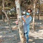 選定每棵樹木後，新業(yè)團隊會以紅色緞帶繫上樹幹紀(jì)錄，宛如為櫸木與『築之細道』之間密不可分的「紅線」。