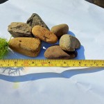 石頭們各司其職，就連小小的溪石，也恪盡職守讓水流潺潺，不受阻也不間斷。