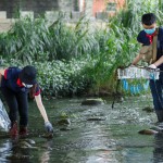 河中的前三名殺手──菸蒂、破碎塑膠袋、瓶蓋吸管，易被小魚(yú)小蝦或青蛙誤食。