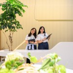 與新業(yè)家族們在午后時刻團聚，一同度過『良辰吉食』的優(yōu)格饗宴。