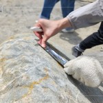 以鋁箔膠帶為記，牽起與新業(yè)的緣分，等待時(shí)機(jī)，即將坐落臺(tái)中『大塊森濤』社區(qū)，延續(xù)自然與人文的美好記憶。