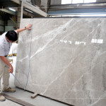 石材表面帶有自然的紋理與色澤，彷彿大地沉積歲月的筆觸，內(nèi)斂卻蘊含力量，新業(yè)職人以獨到眼光揀選，成為空間裡最具靈魂的表達。