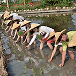 大熱天不忘抬頭對(duì)著攝影師say Cheese！