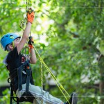 注視著樹頂?shù)墓庥埃O定小小的目標，努力在有限的時間內(nèi)達到樹冠層。