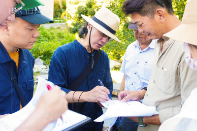 新業(yè)心選品｜築夢踏石 尋覓樹影