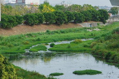新業(yè)愛地球｜淨(jìng)一條溪，流傳一份美好心意