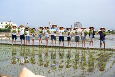 新業(yè)董座插秧趣 公益一畝田邁入12年