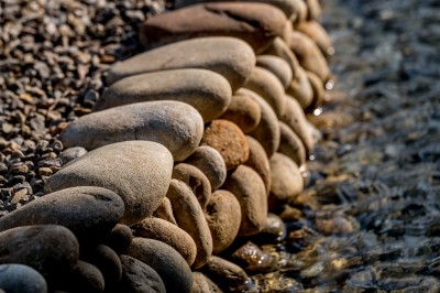 新業(yè)觀峰  土地的記憶  空中森林