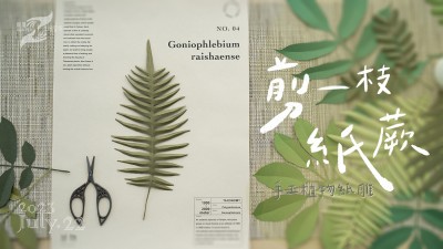 生活習(xí)作 x 剪一枝紙蕨 - 手工植物紙雕